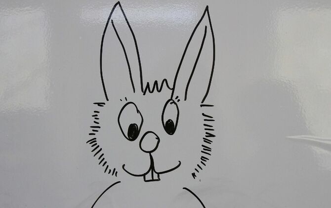 Hase_0
