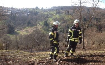 Flächenbrand_0