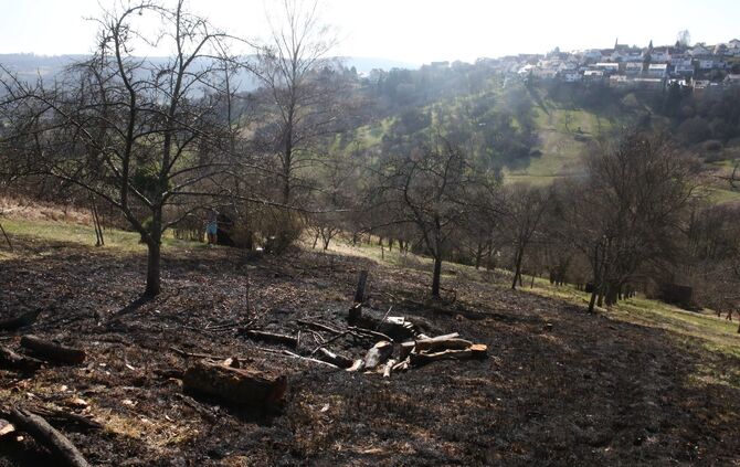 flächenbrand im Böhnlöchle - Bild 02_1