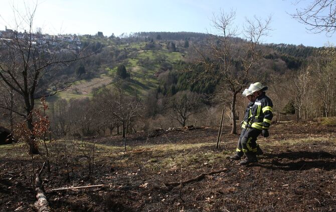 flächenbrand im Böhnlöchle - Bild 03_2