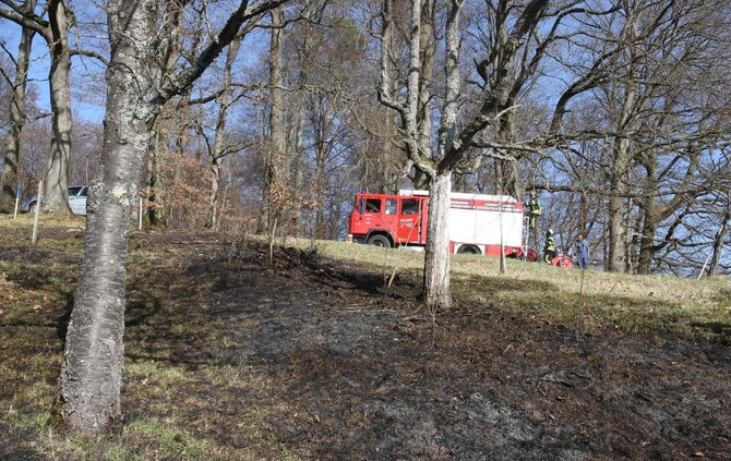 flächenbrand im Böhnlöchle - Bild 06_3