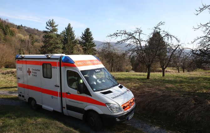 flächenbrand im Böhnlöchle - Bild 01_6