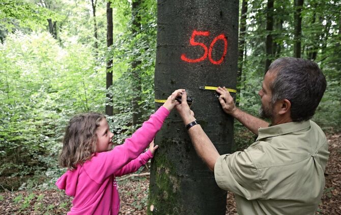 Sommertour Wald - Bild 11_0