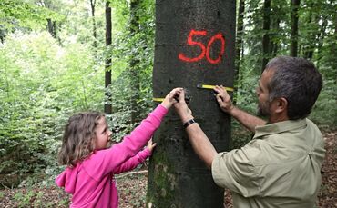 Sommertour Wald - Bild 11_0