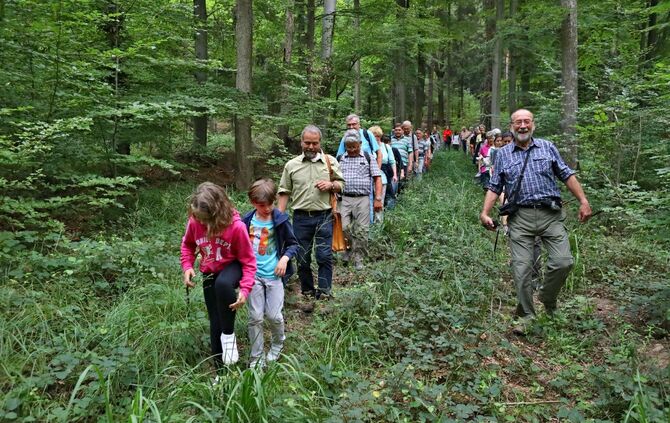 Sommertour Wald - Bild 39_2
