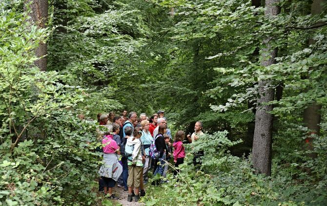 Sommertour Wald - Bild 38_3