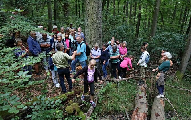 Sommertour Wald - Bild 36_5