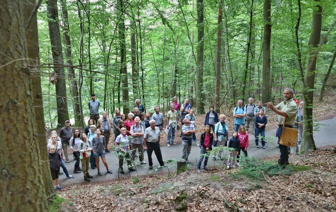 Sommertour Wald - Bild 35_6