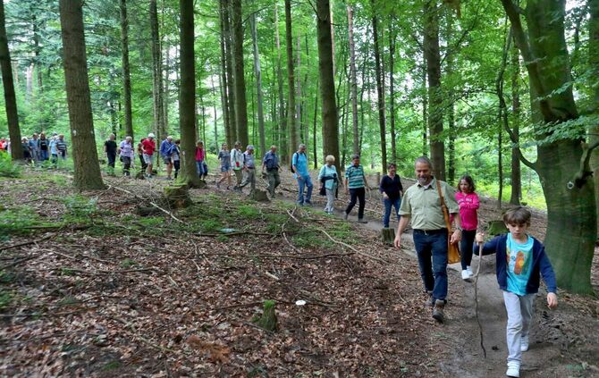 Sommertour Wald - Bild 34_7