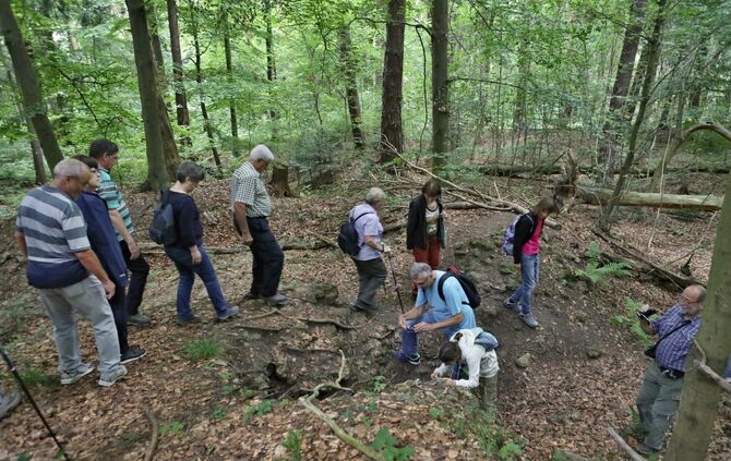 Sommertour Wald - Bild 32_9