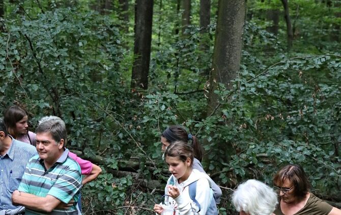 Sommertour Wald - Bild 31_10