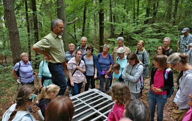 Sommertour Wald - Bild 30_11