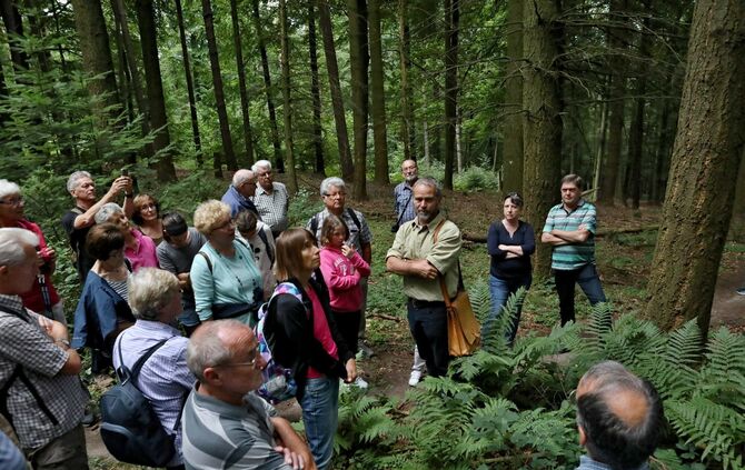 Sommertour Wald - Bild 29_12