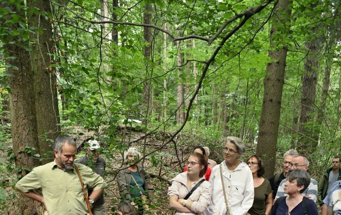 Sommertour Wald - Bild 28_13