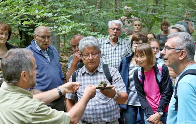 Sommertour Wald - Bild 26_15