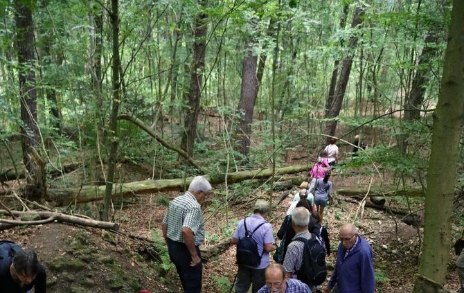 Sommertour Wald - Bild 25_16