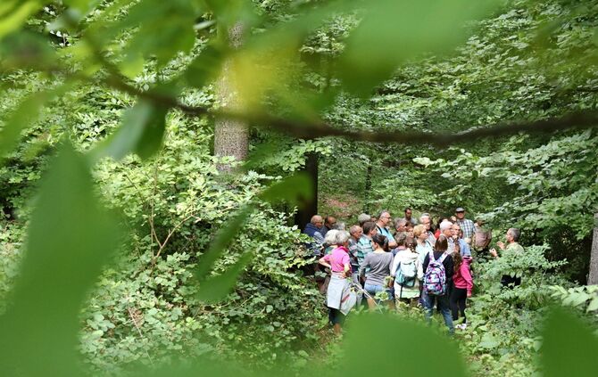 Sommertour Wald - Bild 24_17