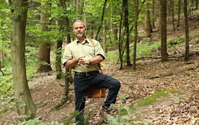Sommertour Wald - Bild 23_18