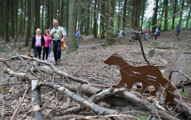 Sommertour Wald - Bild 20_21