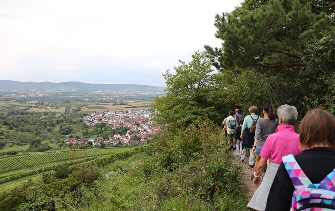 Sommertour Wald - Bild 18_23