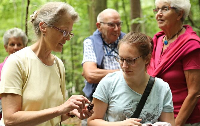 Sommertour Wald - Bild 14_27