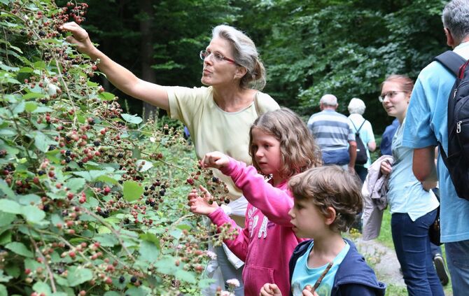 Sommertour Wald - Bild 08_32
