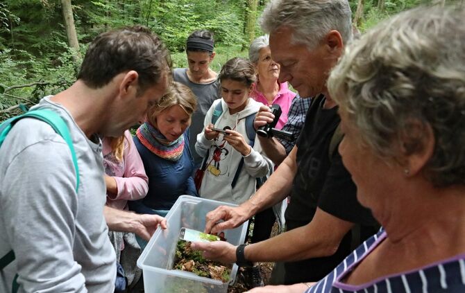 Sommertour Wald - Bild 07_33