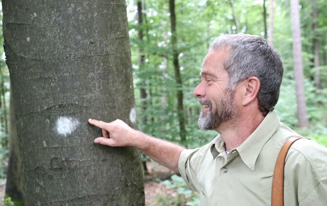 Sommertour Wald - Bild 06_34