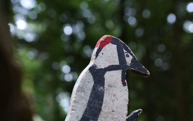 Sommertour Wald - Bild 05_35