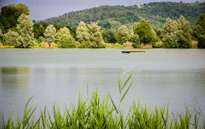 Neues am Badesee - Bild 32_31