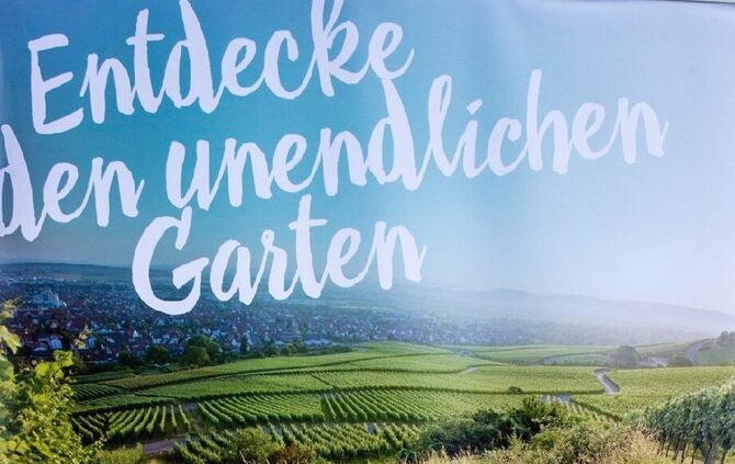 Neues am Badesee - Bild 51_50