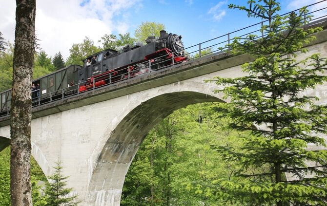 Waldbahn Kauffenmuhle Dampfzug