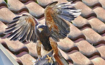 2d8577dd-993b-49ec-bbfc-322fb2065117.jpg_0