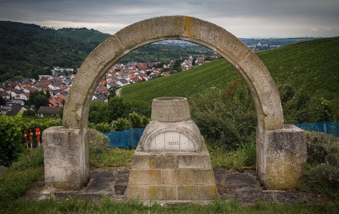 Weinprobe in den Weinbergen Ã¼ber Schnait_6