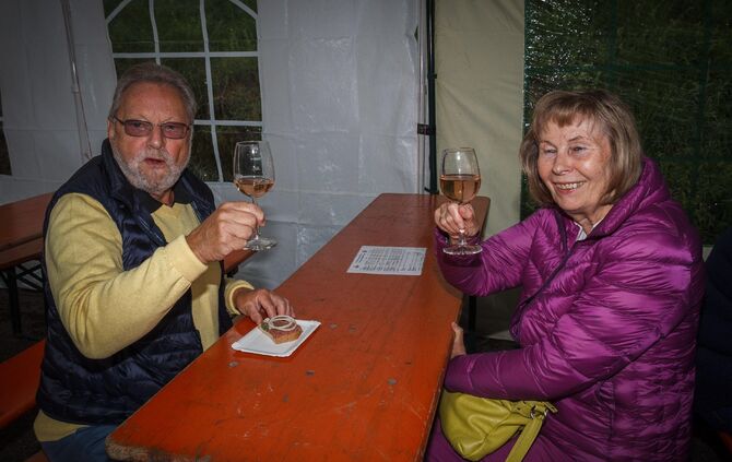 Weinprobe in den Weinbergen Ã¼ber Schnait_13