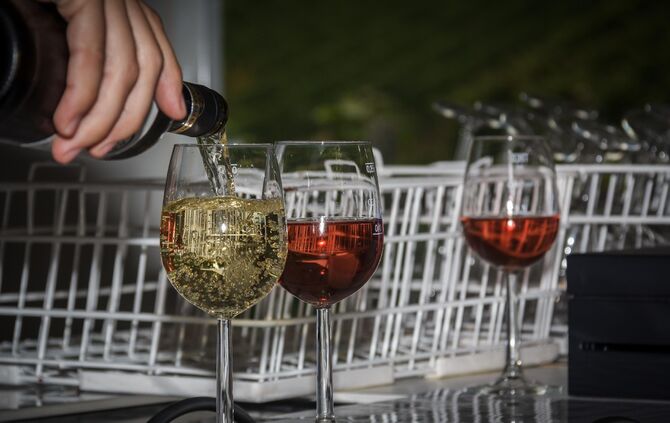 Weinprobe in den Weinbergen Ã¼ber Schnait_15