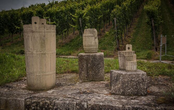 Weinprobe in den Weinbergen Ã¼ber Schnait_16