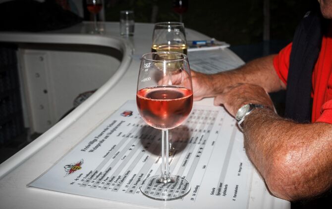 Weinprobe in den Weinbergen Ã¼ber Schnait_18