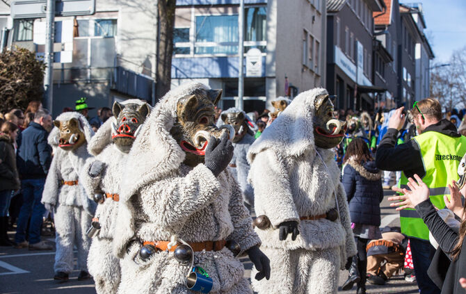 Faschingsumzug - Bild 03_0