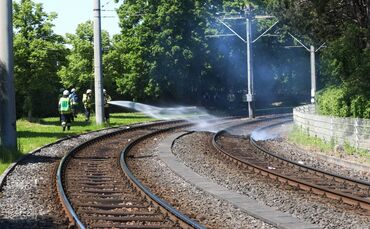 Vegetationsbrand Gleisbett fellbach