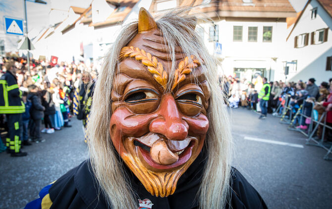 Faschingsumzug - Bild 07_6