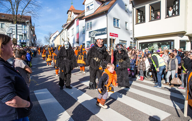 Faschingsumzug - Bild 08_7