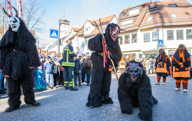 Faschingsumzug - Bild 11_10