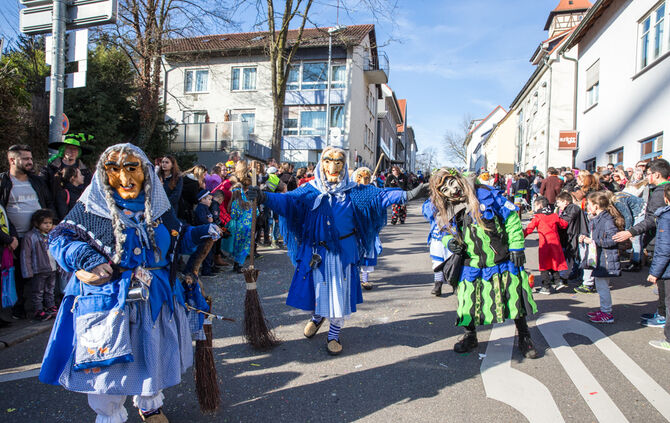 Faschingsumzug - Bild 15_14