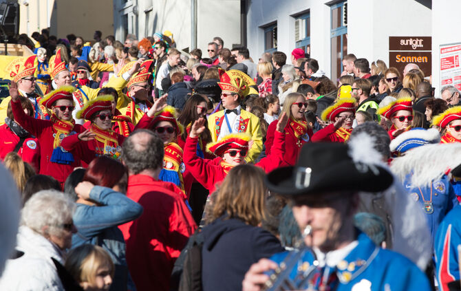 Faschingsumzug - Bild 18_17