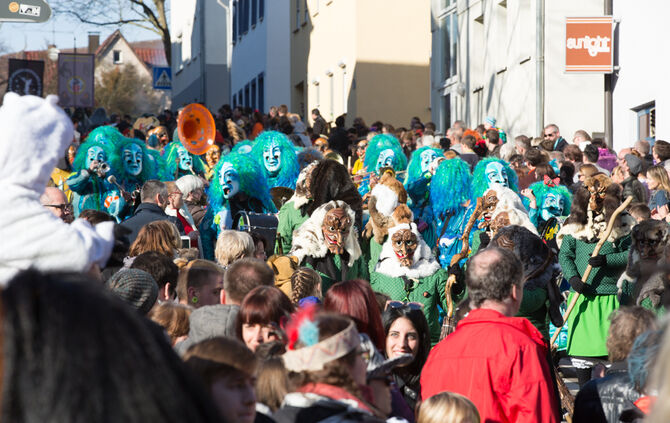 Faschingsumzug - Bild 20_19