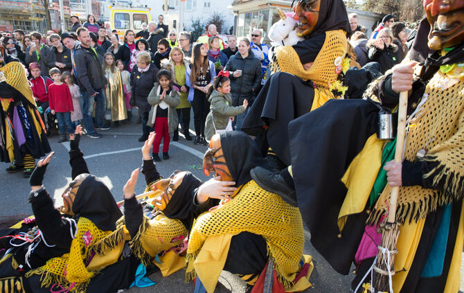 Faschingsumzug - Bild 31_30