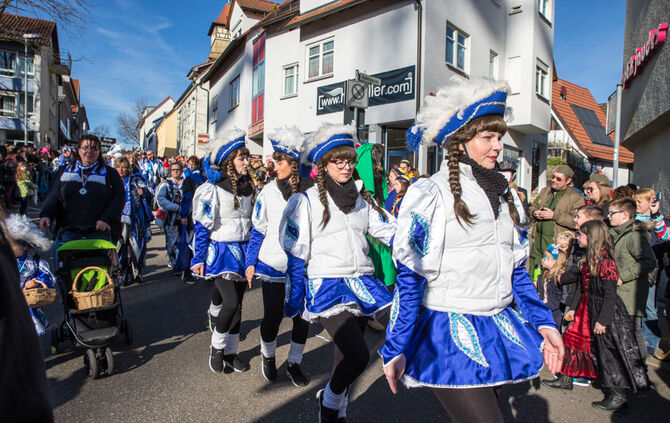 Faschingsumzug - Bild 32_31