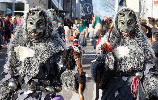 Faschingsumzug - Bild 34_33