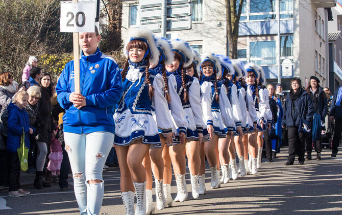 Faschingsumzug - Bild 35_34